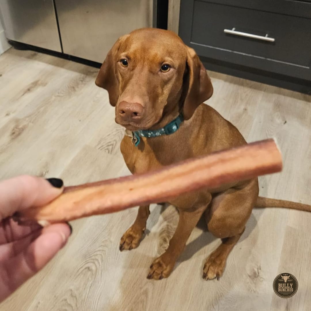 Bully Bunches Premium 6 Inch Jumbo Odor-Free Bully Sticks for Medium & Large Dogs - Long Lasting Chews for Oral Care - All Natur