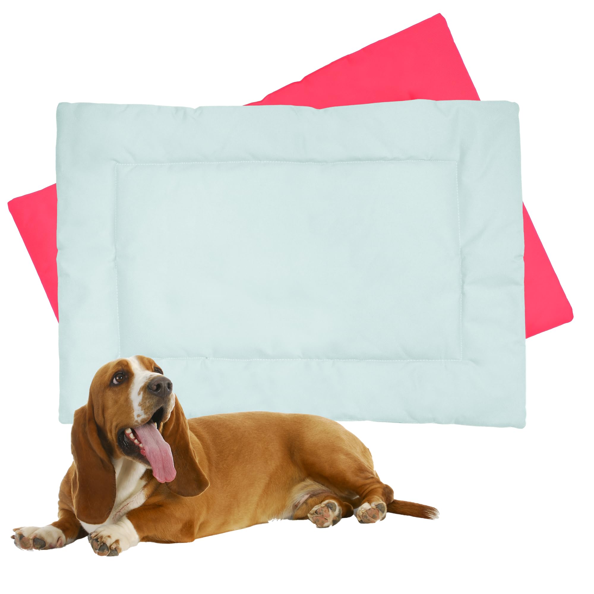 Downtown Pet Supply Dog Crate Pad, 29 x 20 - Waterproof, Ripstop Nylon Dog Crate Mat Chew Proof and Machine Washable - Light Blu
