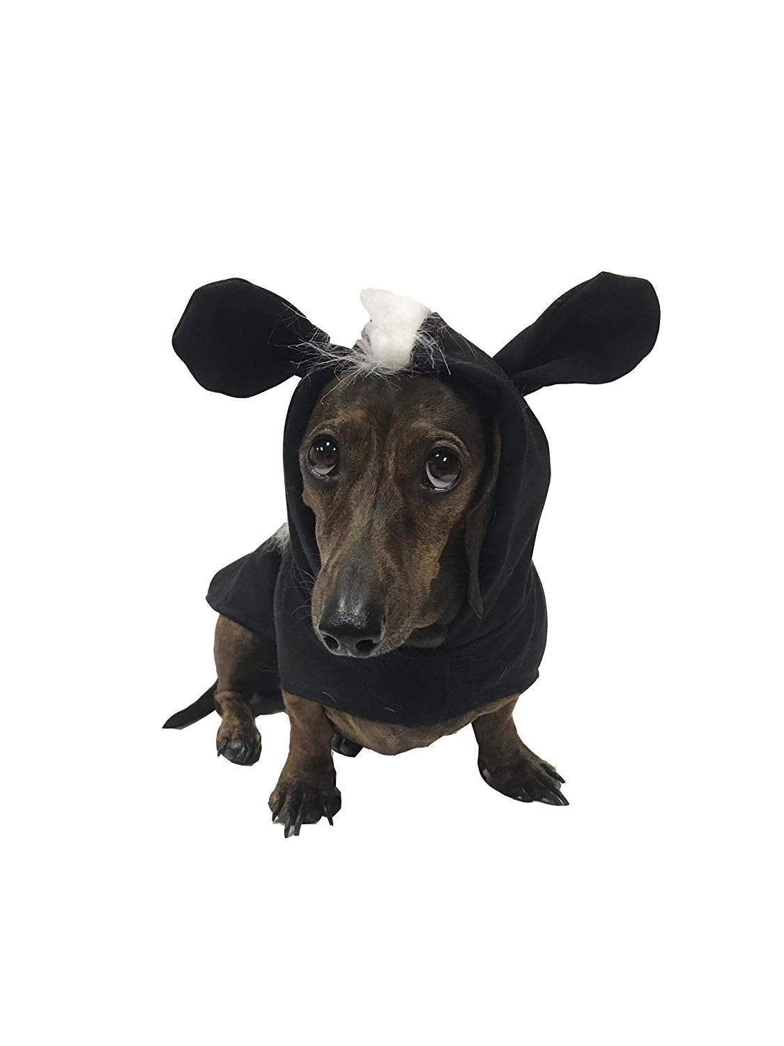 Midlee Skunk Dog Costume (X-Large)