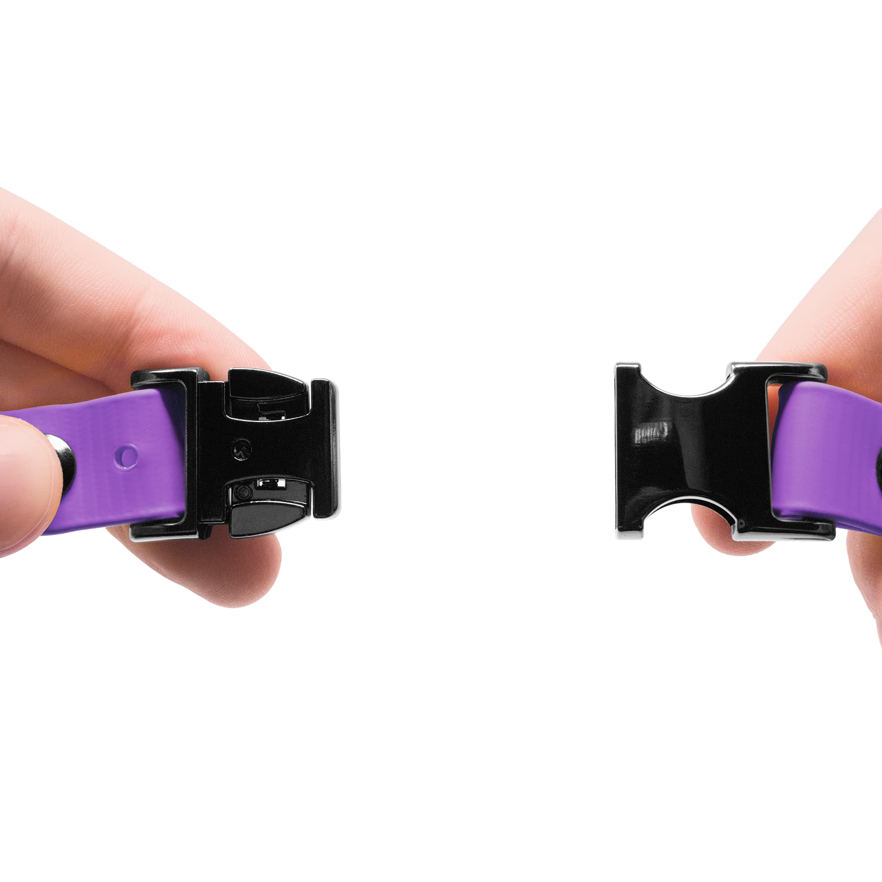 Educator Quick Snap Bungee Dog Collar, Biothane, Waterproof, Odorproof, Easy Connect And Disconnect Clasp And D Ring With Comfort Bungee Loop, Adjustable For Custom Fit, 3/4-Inch, Purple