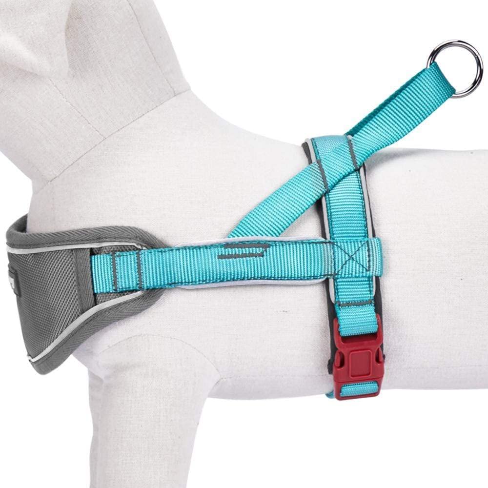 Blueberry Pet 8 Colors Soft & Comfy 3M Reflective Strips Padded Dog Harness Vest, Chest Girth 20.5' - 26', Lake Blue, Medium, Nylon Adjustable Training Harnesses For Dogs