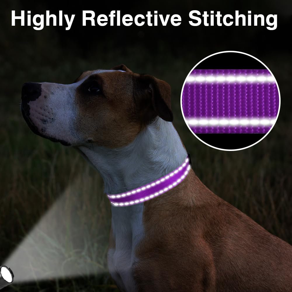 Taglory Reflective Adjustable Dog Collars For Puppy Small Medium Large Dogs, Thin Nylon Webbing And Quick Release Plastic Buckle(Purple,Large)