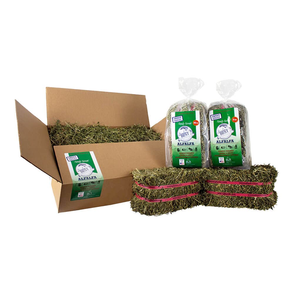 Grandpas Best Alfalfa Hay for Rabbits, Guinea Pigs, Chinchillas, Hamsters & Gerbils, 10lb Loose Boxed