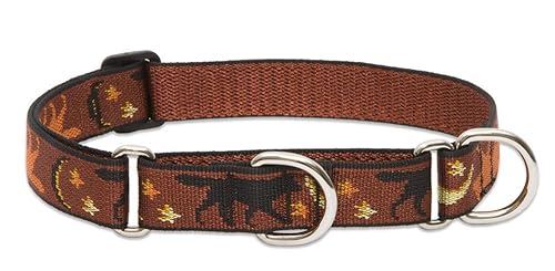 Lupinepet Originals 1' Shadow Hunter 15-22' Martingale Collar For Medium And Larger Dogs