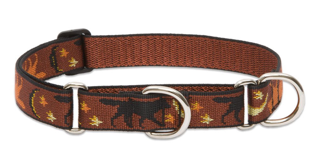 Lupinepet Originals 1' Shadow Hunter 15-22' Martingale Collar For Medium And Larger Dogs