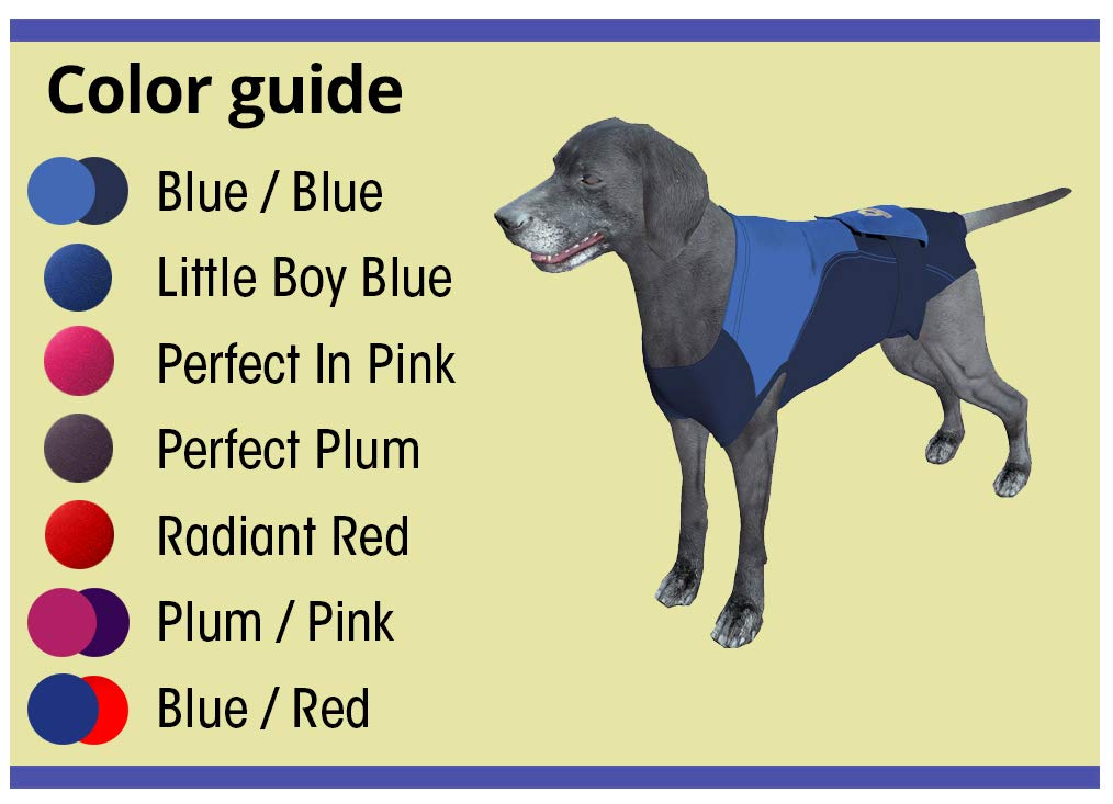 Surgi~Snuggly Disposable Dog Diapers Keeper - for Male and Female Dogs - Wrap Around Legs for Superior Fit - Fits (LS - BB)