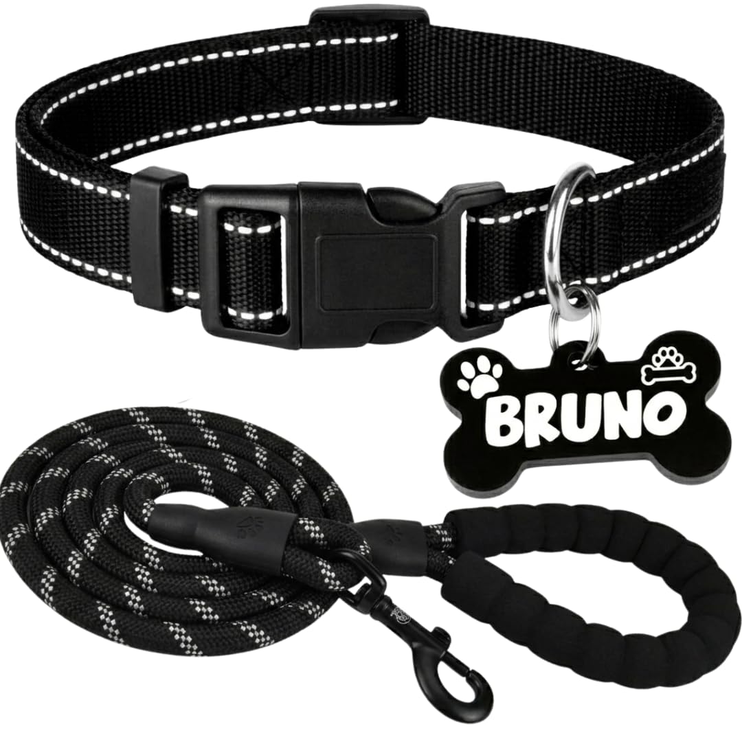 Pawpro Reflective Nylon Dog Collar  Custom Bone Tag With 5Foot HeavyDuty Leash  Soft Padded Handle, 360 Swivel Clip  Adjustab