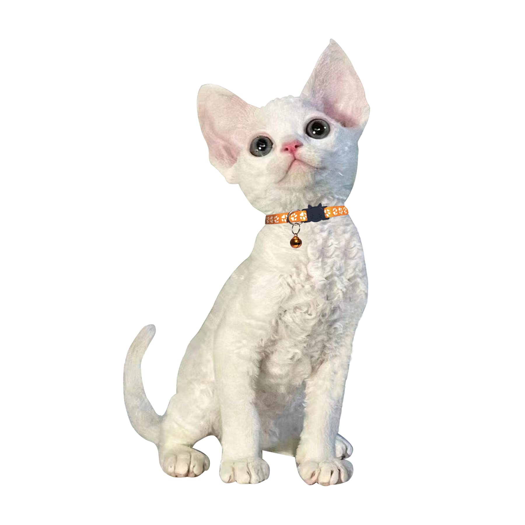 D-Buy Cat Collars, Cat Collars With Bell, Breakaway Cat Collars, Reflective Cat Collars, Nylon Cat Collars With Bell, Collars For Cats, Collars For Puppies (2 Pink + 2 Sky Blue)