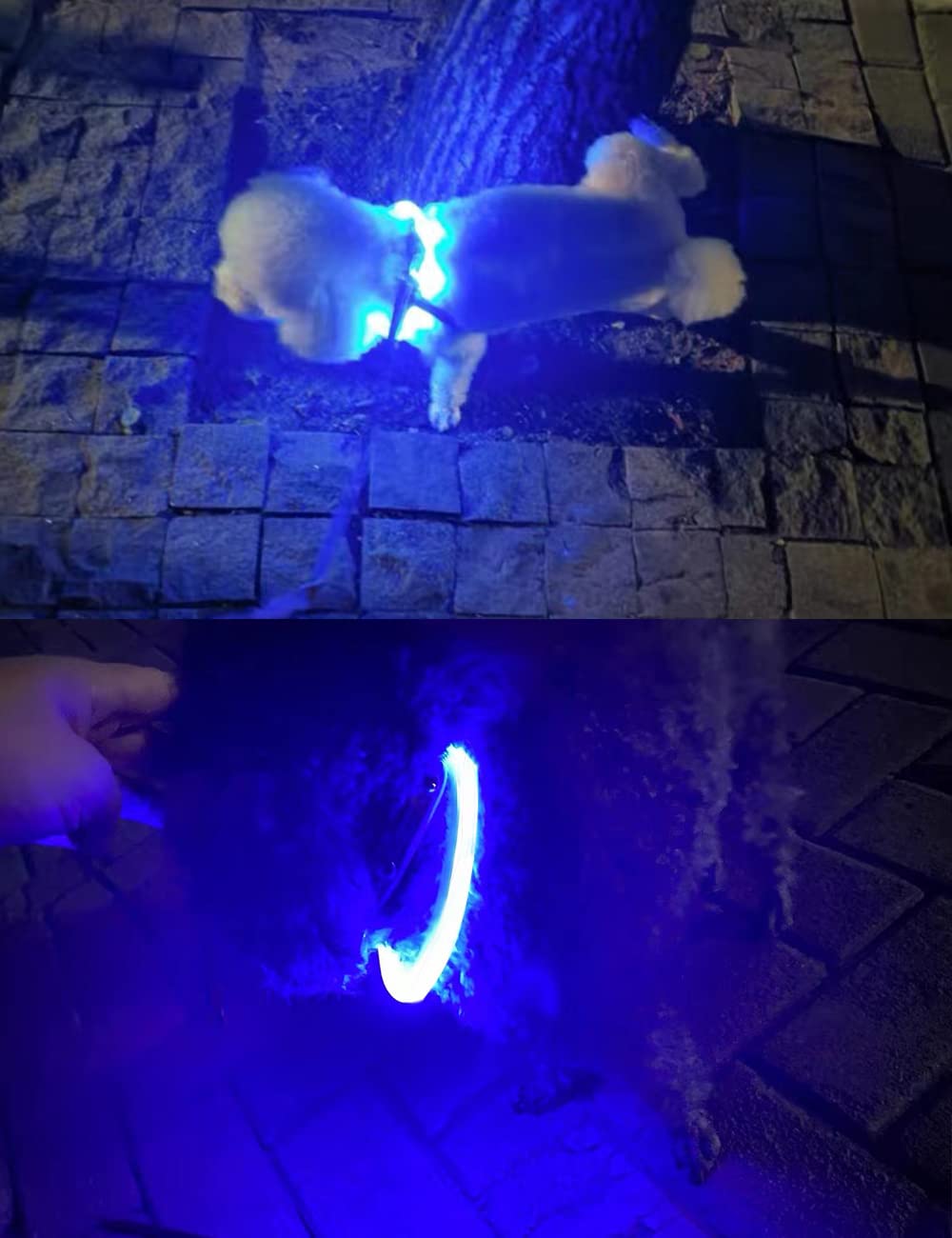 Omni Soulmate Third led Dog Collar,USB Rechargeable Light Up Dog Collars,3modes,Waterproof Dog Lights for Night Walking,Make Pet