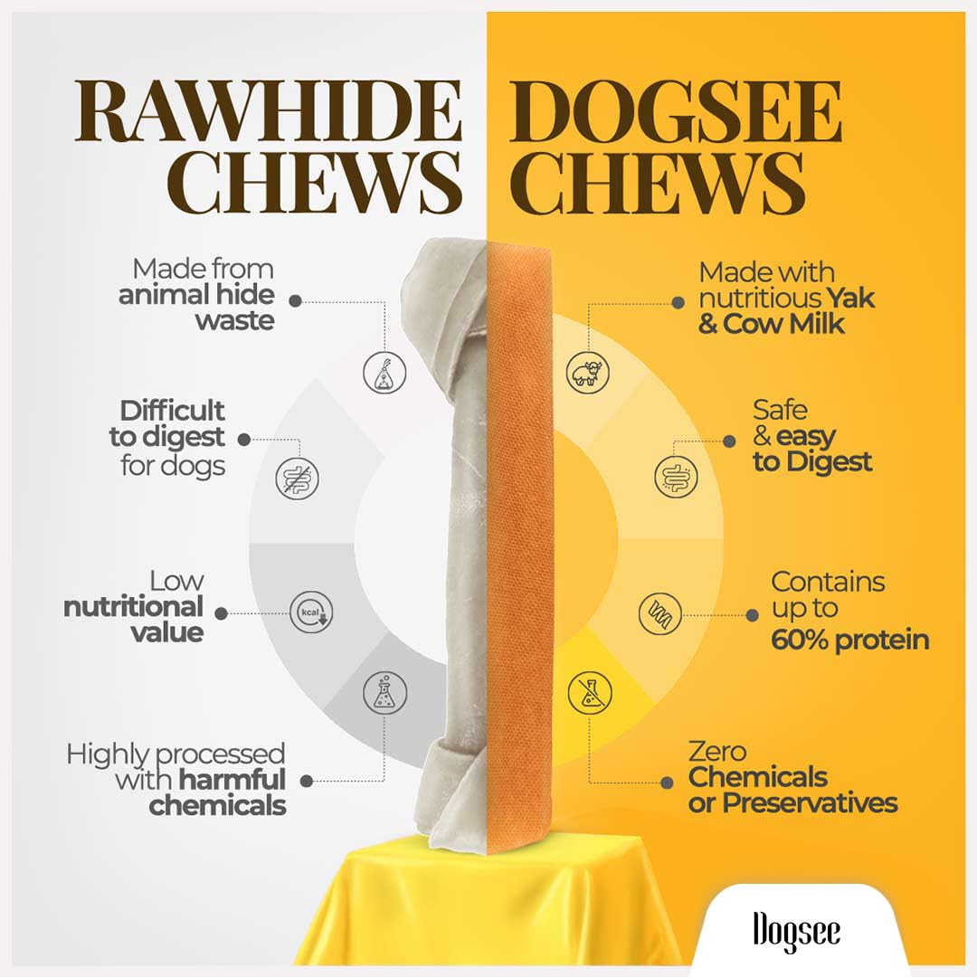 Dogsee Himalayan Yak Cheese Dog Chews with Turmeric/Curcumin (Medium - 6Chew) | Long Lasting | Anti-inflammatory | Fights Plaque