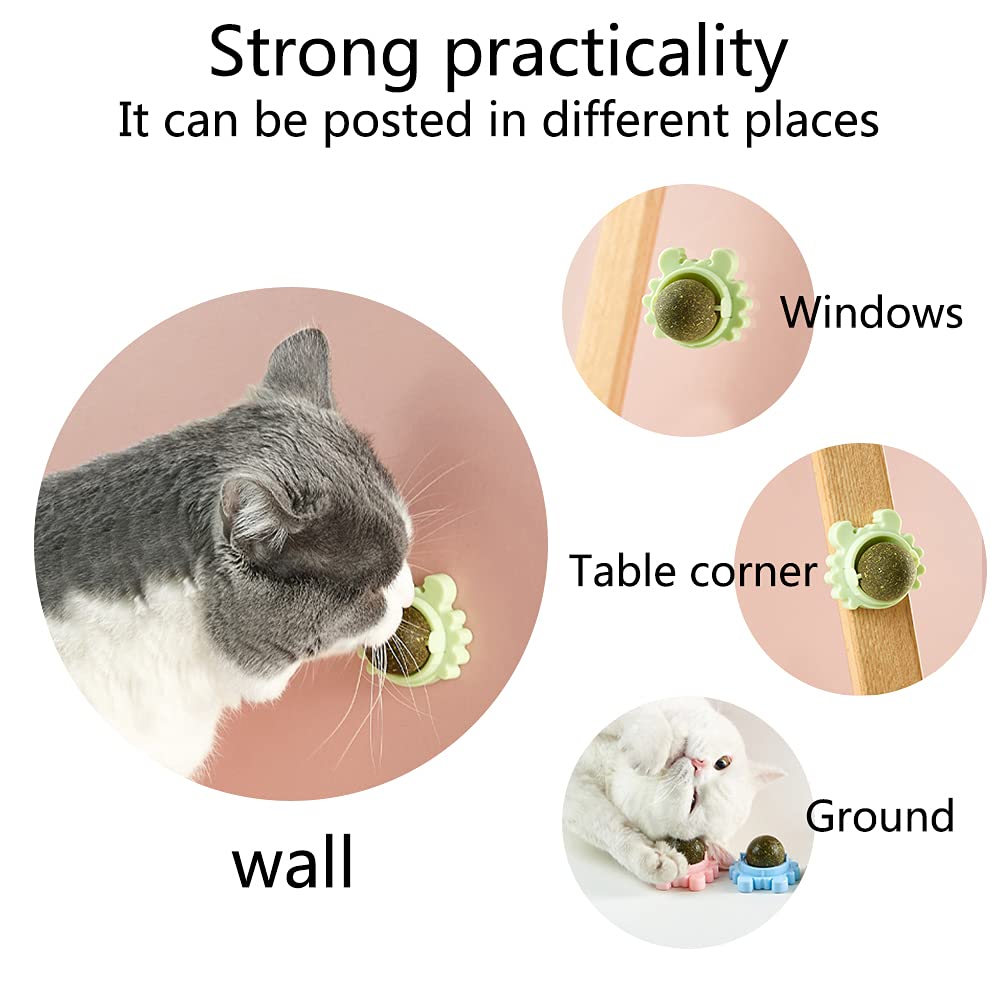Kayina Catnip Wall Ball, 3-Piece Cat Toys, Edible Cat Licking Toy, Cat Chew Toy, Teeth Cleaning Cat Bite Toy, Rotatable Indoor C