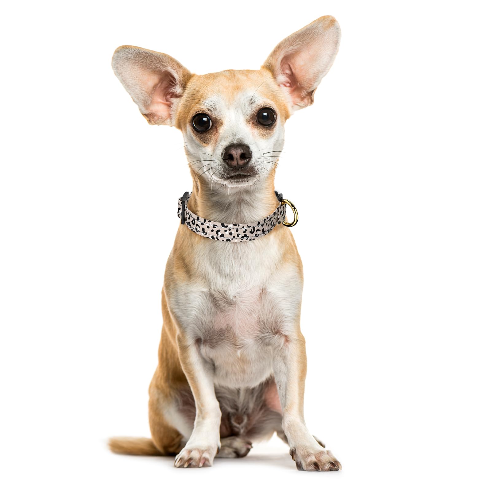 Tmoodel Reflective Dog Collar For Extra Small Dogs, Cute Leopard Style Adjustable Heavy-Duty Nylon Puppy Collar For Boy And Girl