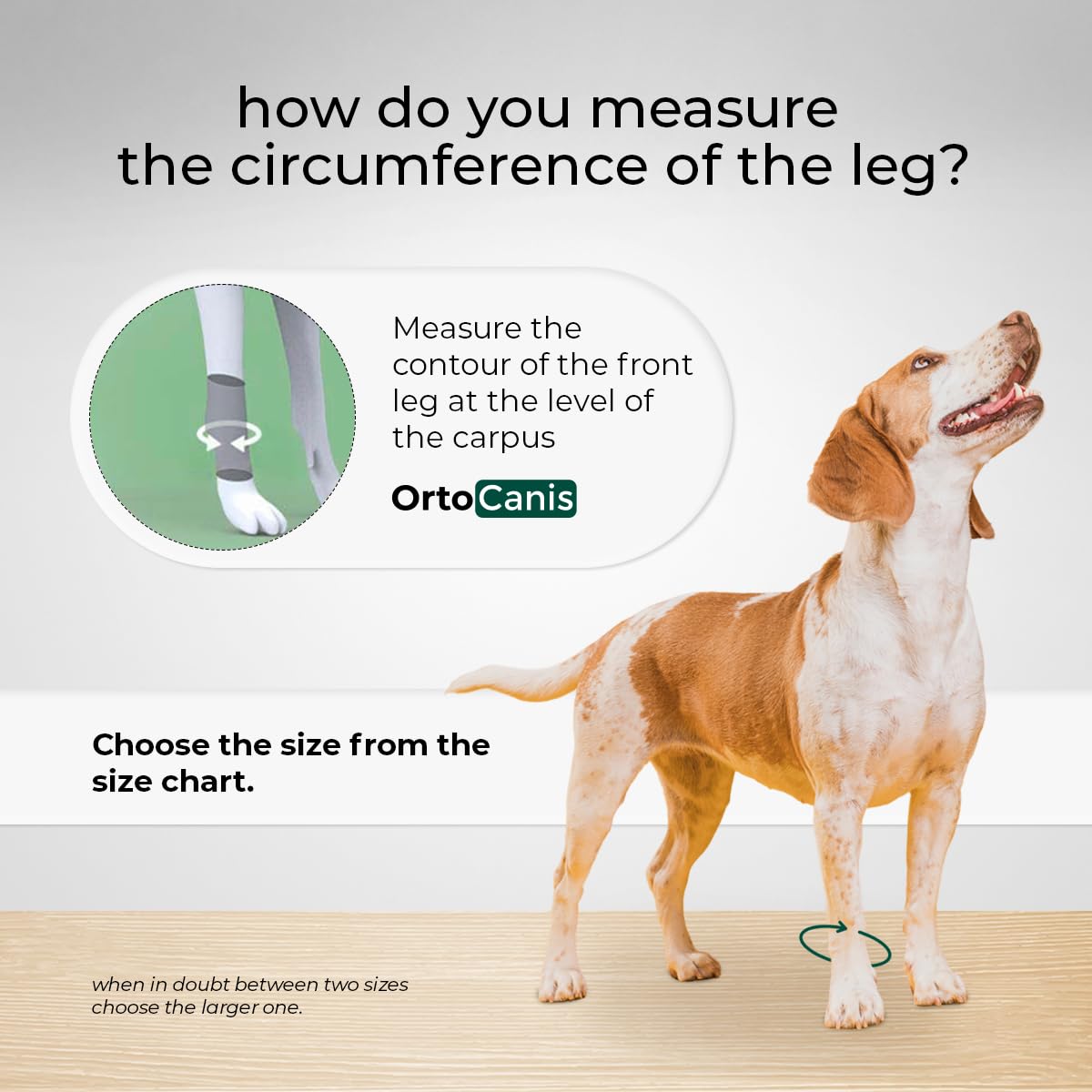 Ortocanis - Carpal Brace for Dogs with Arthrosis, Ligament or Tendon Injuries, or Agility Dogs, Size S