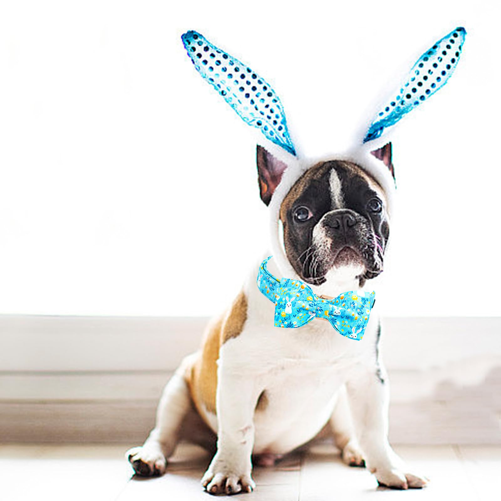 Lionheart Glory Dog Bow Collar Easter Day Dog Collar For X-Small Dogs,Easter Rabbits Colorful Dog Collars With Bowtie Spring Bun