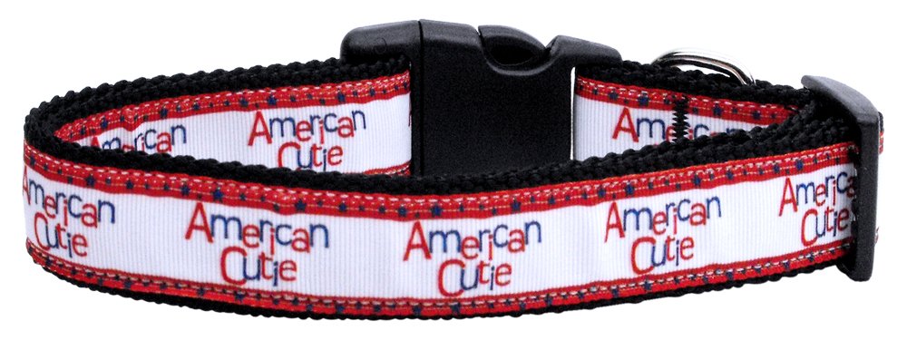 Pet Dog & Cat Nylon Collar or Leash, "American Cutie" MD Collar