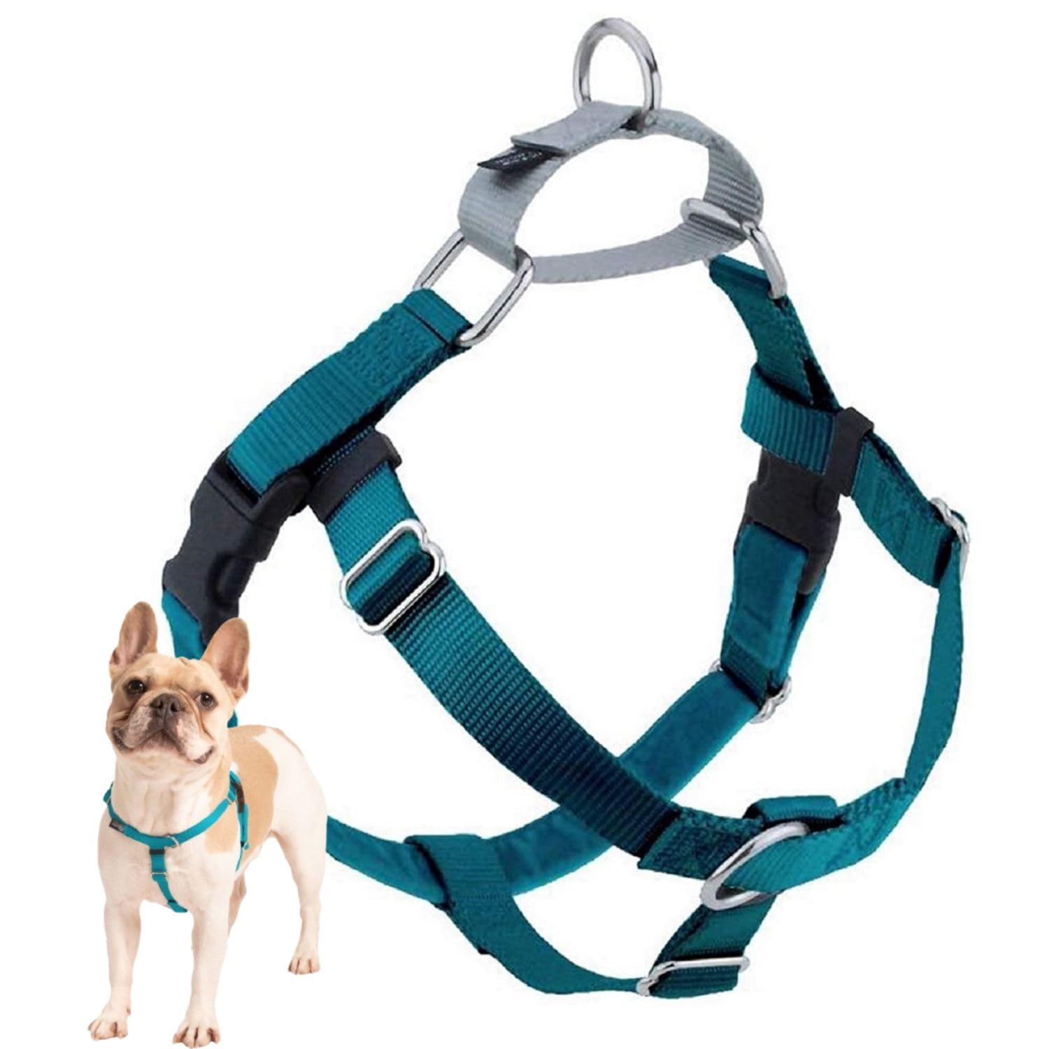 2 Hounds Design Freedom No Pull Dog Harness, Adjustable Harness, Easy Walking & Comfortable Control, Fits Small, Medium & Large Dogs, Solid Colors, Made In Usa, 1' Md, Teal