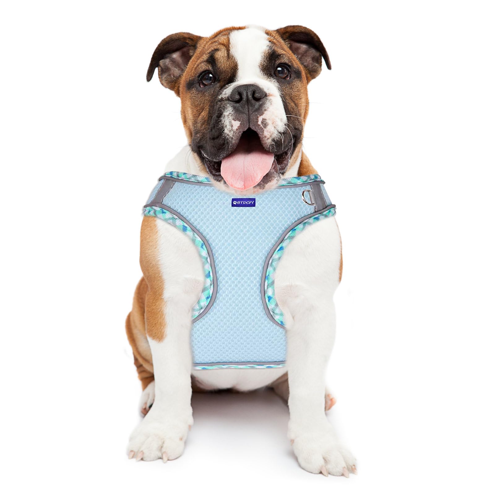 Btdcfy Step In Mesh Dog Harness And Leash Set - Breathable Air Mesh Reflective Escape Proof Vest - No Choke, Lightweight