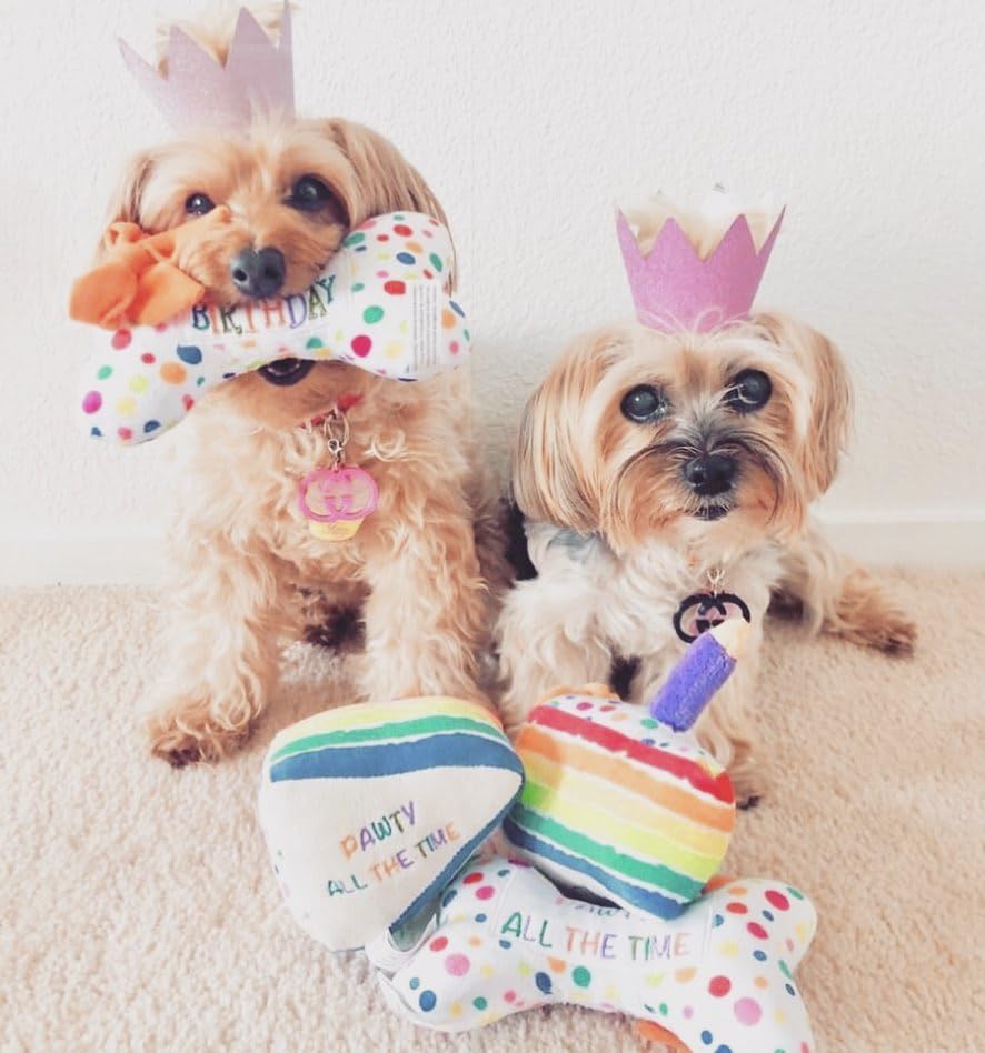 Haute Diggity Dog Birthday Cake Slice, Plush Designer Dog Toys With Interactive Squeaker, Stimulating Pet Enrichment, Machine-Wa