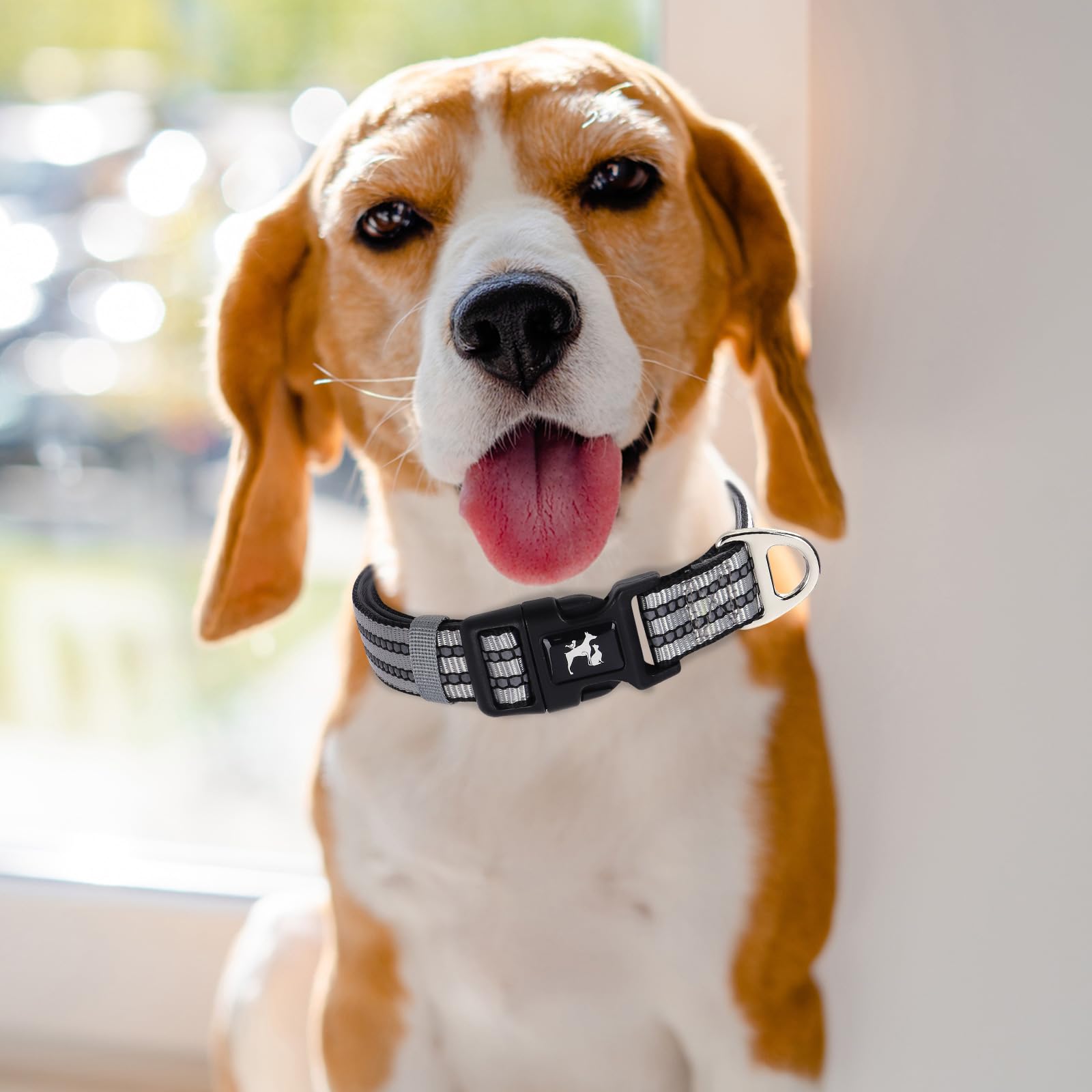 Maowuwujoz Reflective Dog Collar With Soft Neoprene Padded, Adjustable Breathable Nylon Pet Collar For Medium Dogs (Silver M)