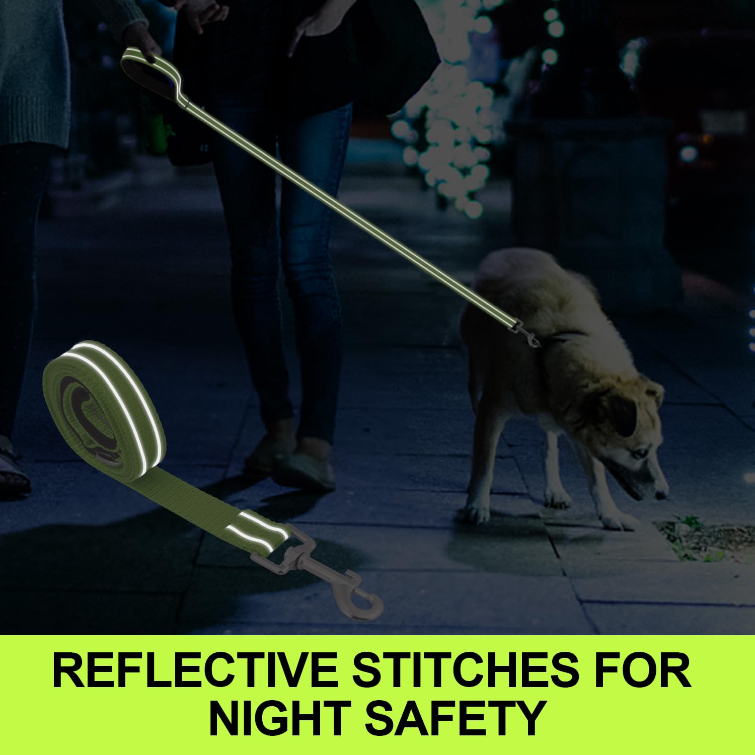 Usunyvora Reflective Nylon Dog Leash For Walking,Strong Dog Leash With Padded Handle For Small And Medium Dogs,6 Ft,Green
