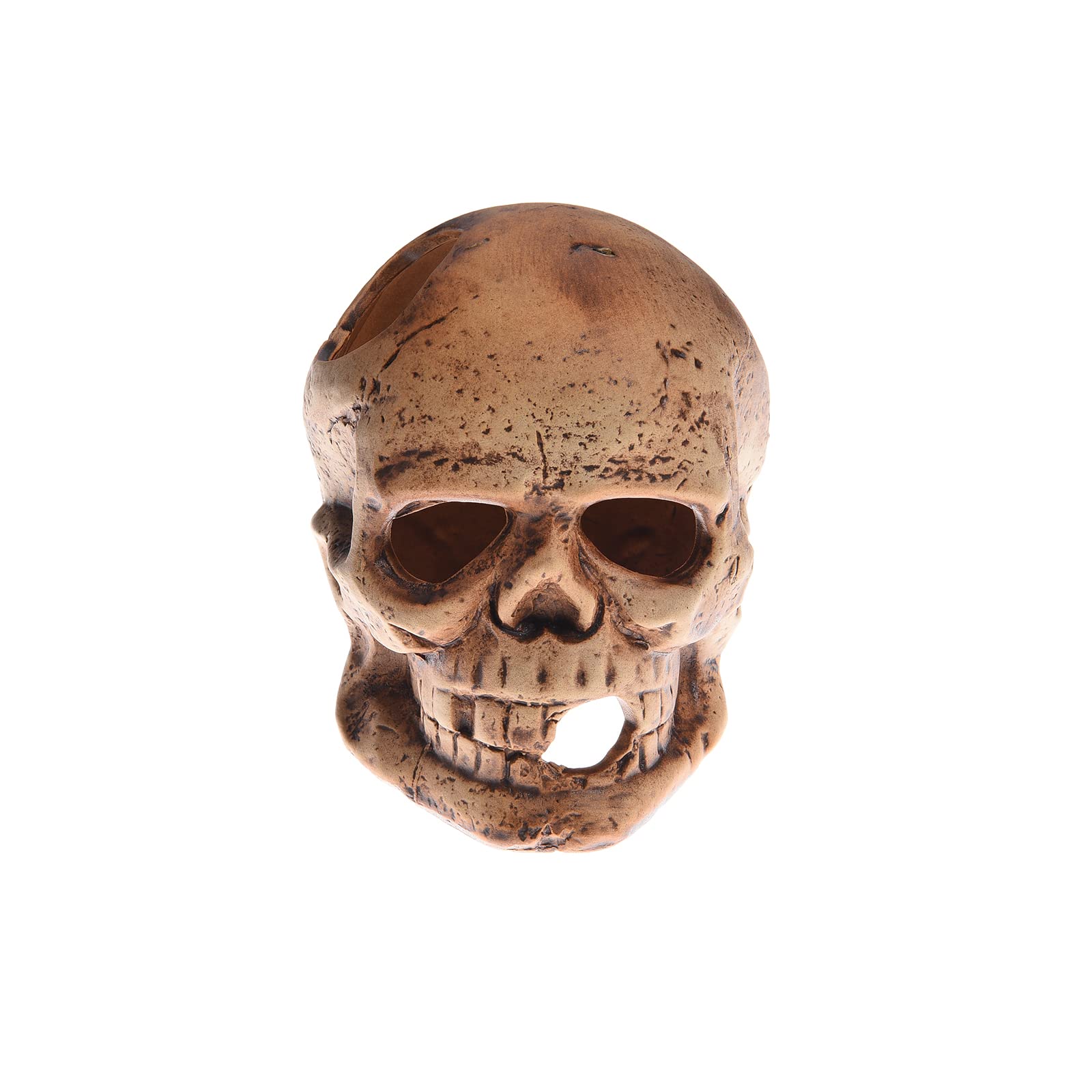 Alegi Aquarium Decoration Hideaway Rock Cave For Betta Shrimp Cichlid Hiding Breeding Spawning (Ceramic Skull)