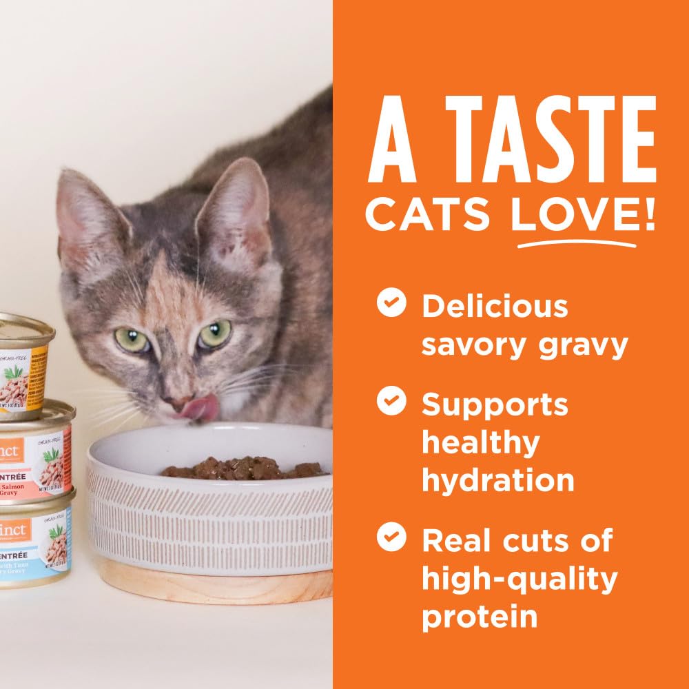 Instinct Flaked Chicken Entr  e Wet Cat Food 3 oz. Can