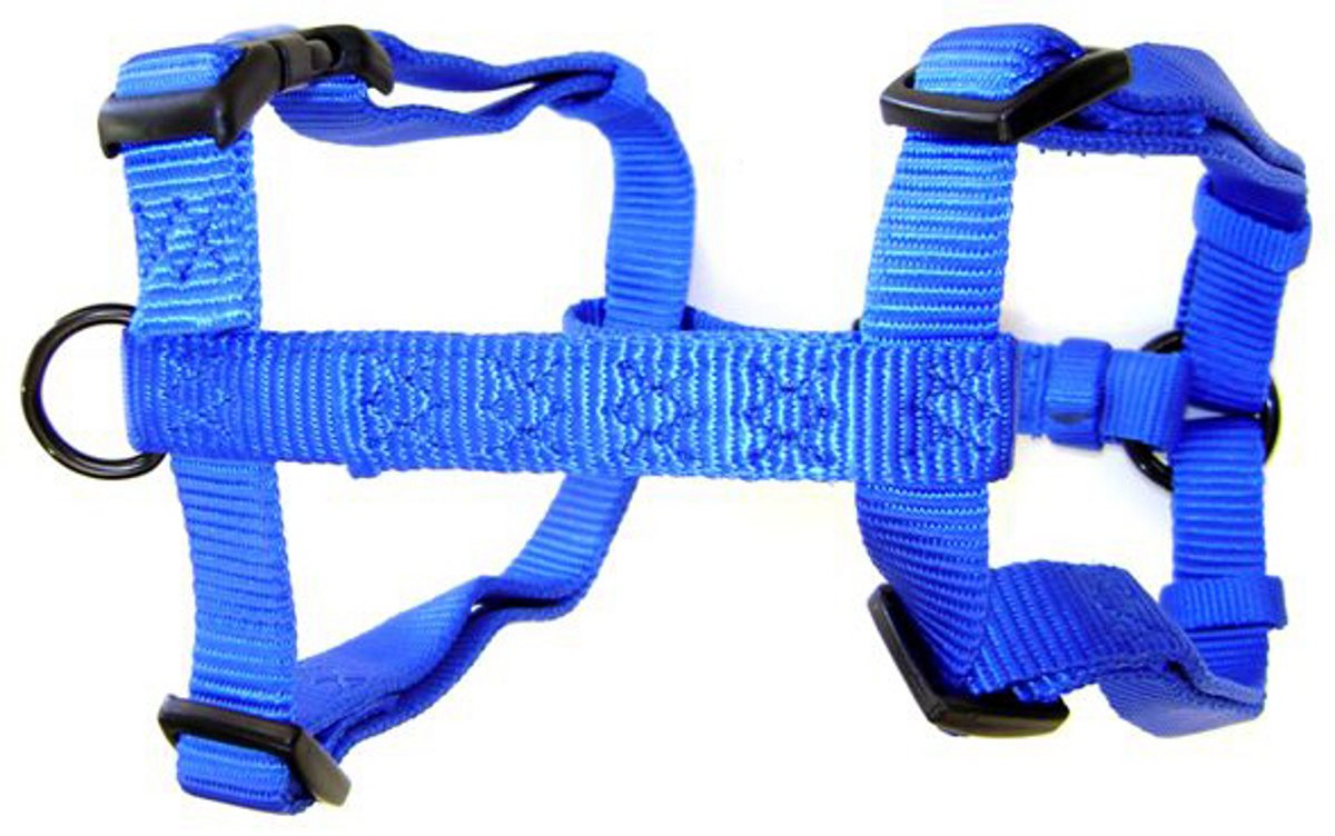 Hamilton Adjustable Comfort Nylon Dog Harness, Blue, 1'' x 40-50''