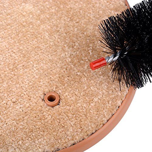 Buyter Cat Massage Scratching Itch Kitty Hair Tools Beauty Care Brush Bristle Arch