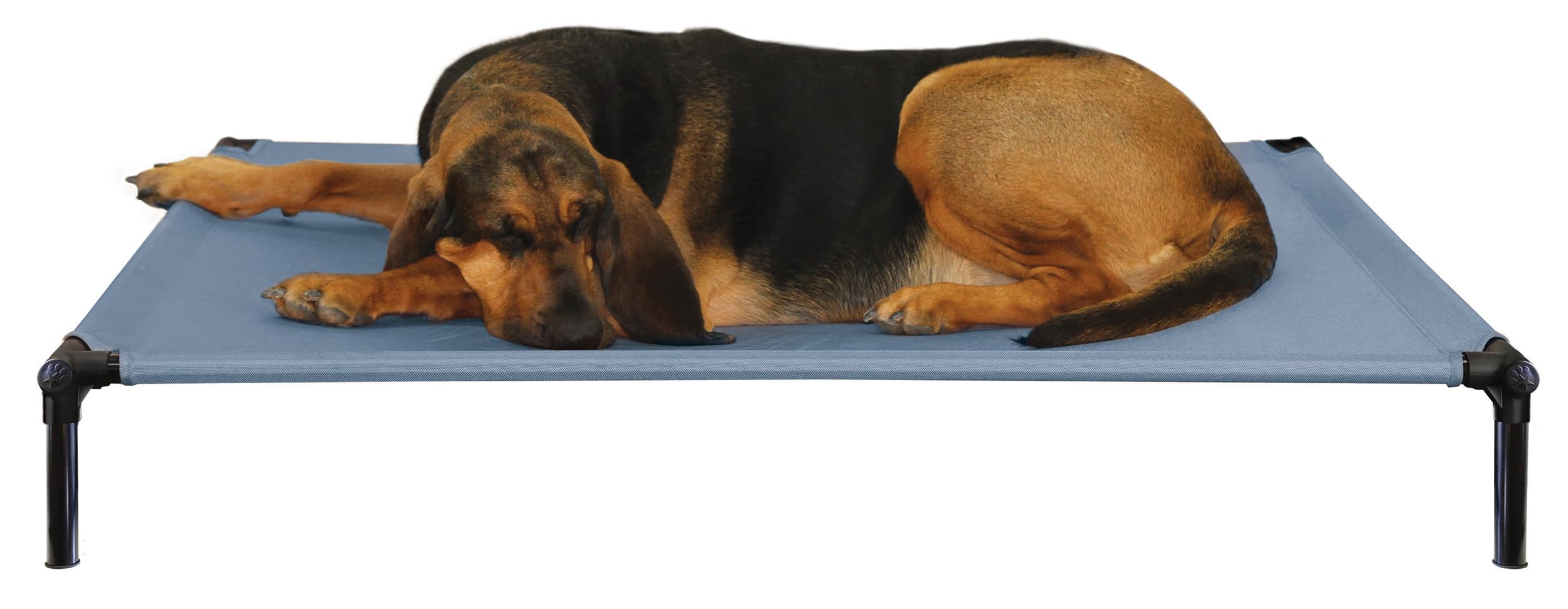 Starmark Dog Zone X-Large Sky Blue