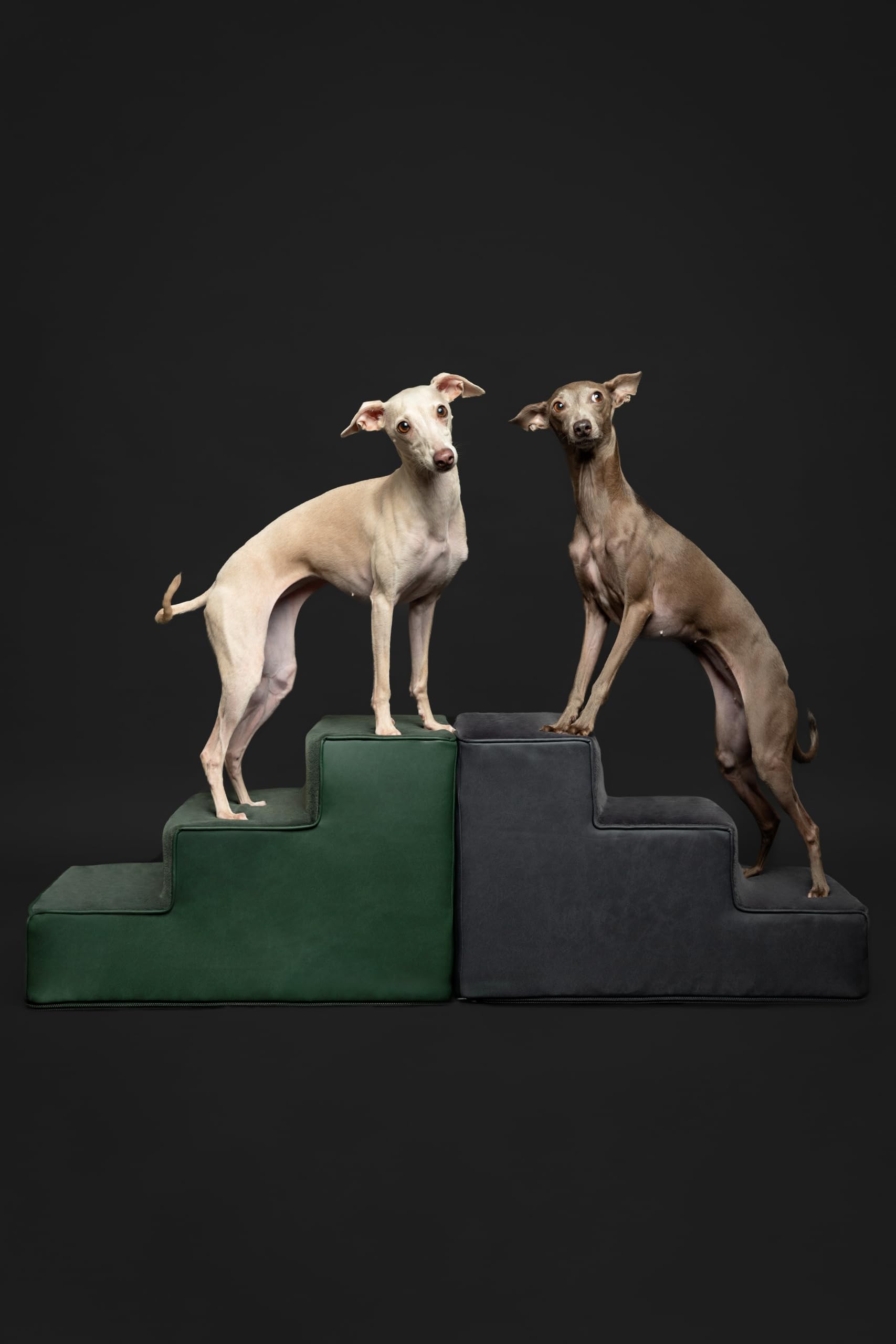 Noah & Paw Dog Stairs, Dog Ramp for Bed (16 Extra Wide) Pet Stairs for High Bed, Design to Fit Small and Large Breeds, Durable 3