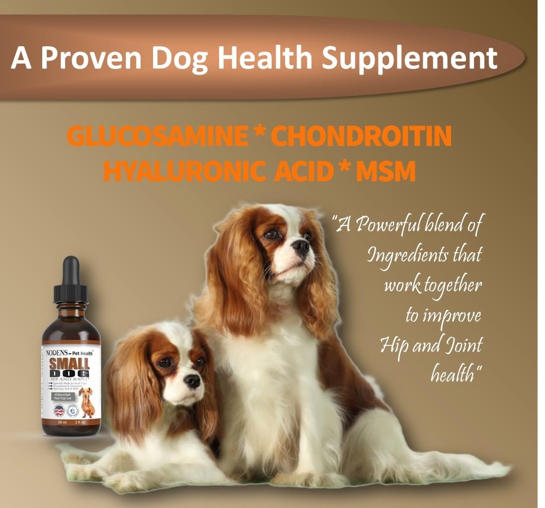 NODENS Small Dog Hip & Joint Liquid Glucosamine with Chondroitin & MSM - 2 fl oz Joint Supplement for Dog Flexibility