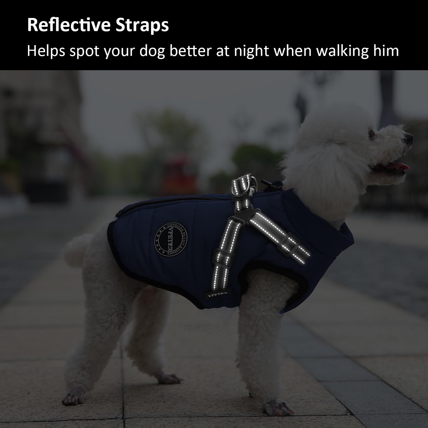 V.Pet.B.R Dog Winter Coat, Warm Jacket Padded Fleece Vest With Built-In Harness, Waterproof Windproof Reflective Cozy Snow Pet C