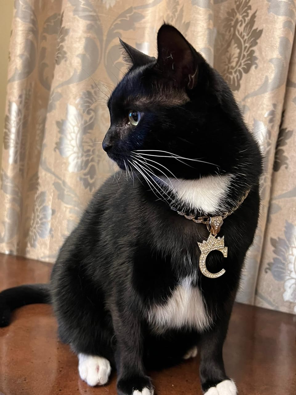 Initial Letter Cuban Chain Dog Chain Pet Chain Pet, Cat, Puppy Necklace (C, 12'')