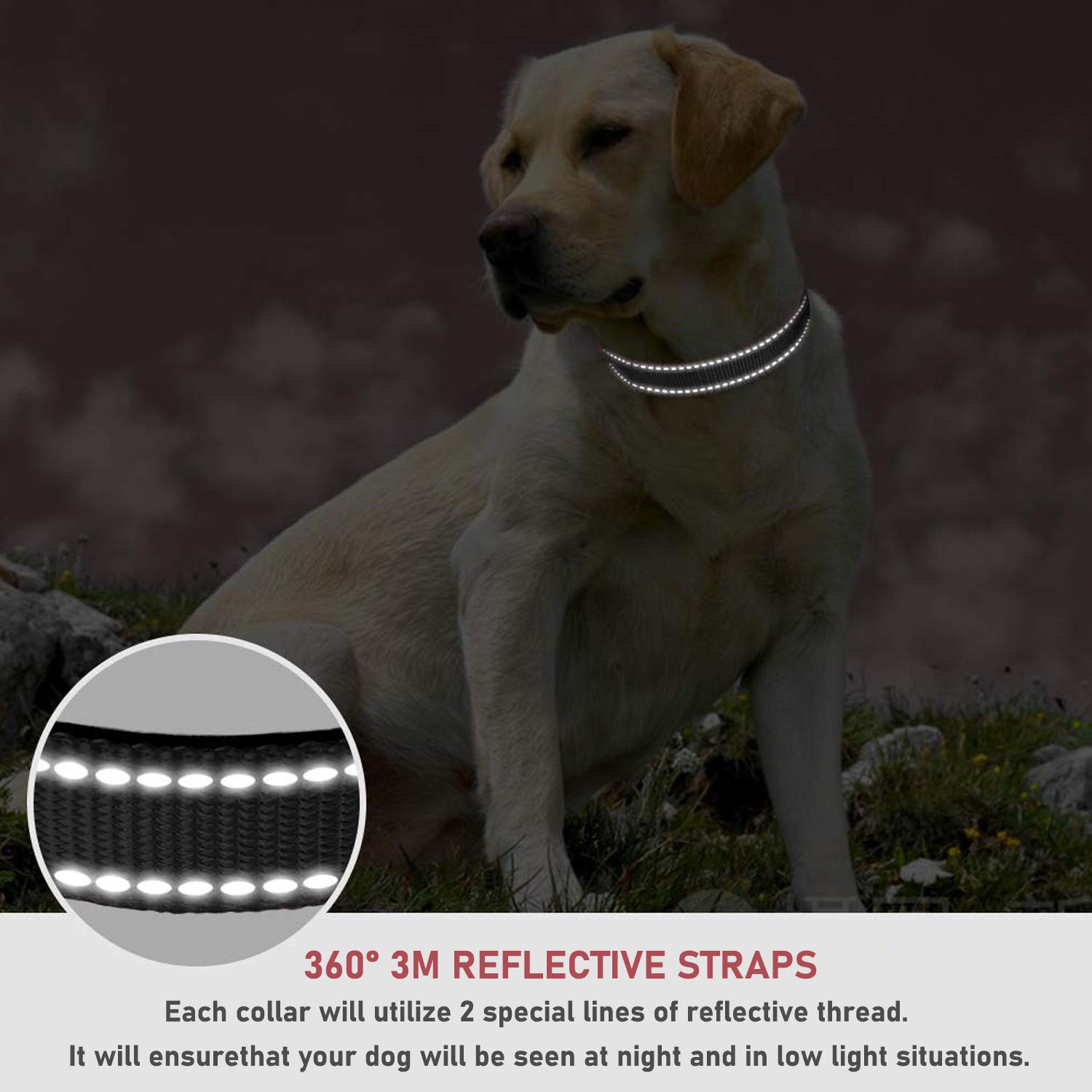 Reflective Dog Collar With Buckle Adjustable Safety Nylon Collars For Small Medium Large Dogs, Black L