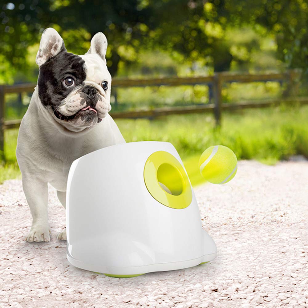 ALL FOR PAWS Original Dog Automatic Ball Launcher for Small and Medium Dogs, Dog Tennis Ball Throwing Machine,Interactive Dog To