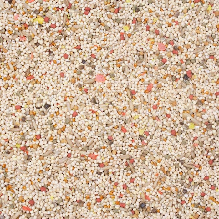 Higgins Vita Seed Parakeet Food, Large