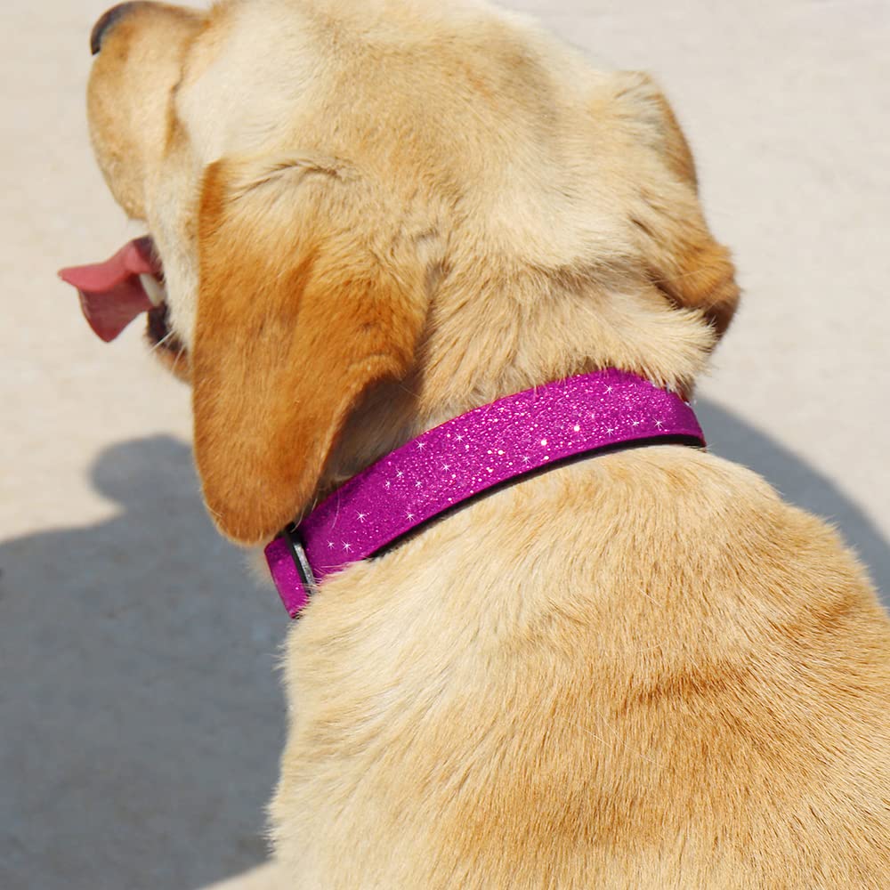 Tdtok Glittering Basic Dog Collar, Comfy & Durable Dog Collar For Small Medium Large Dogs With Eco-Friendly Plastic Buckle, Adju