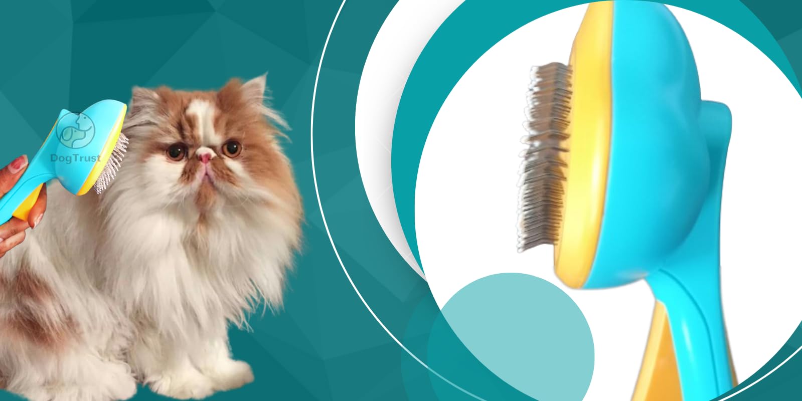 Dog Trust Dog Hair Brush Slicker Dog Comb Pet Grooming Brush Daily Use To Clean Loose Fur & Dirt Great For Dogs And Cats With Me