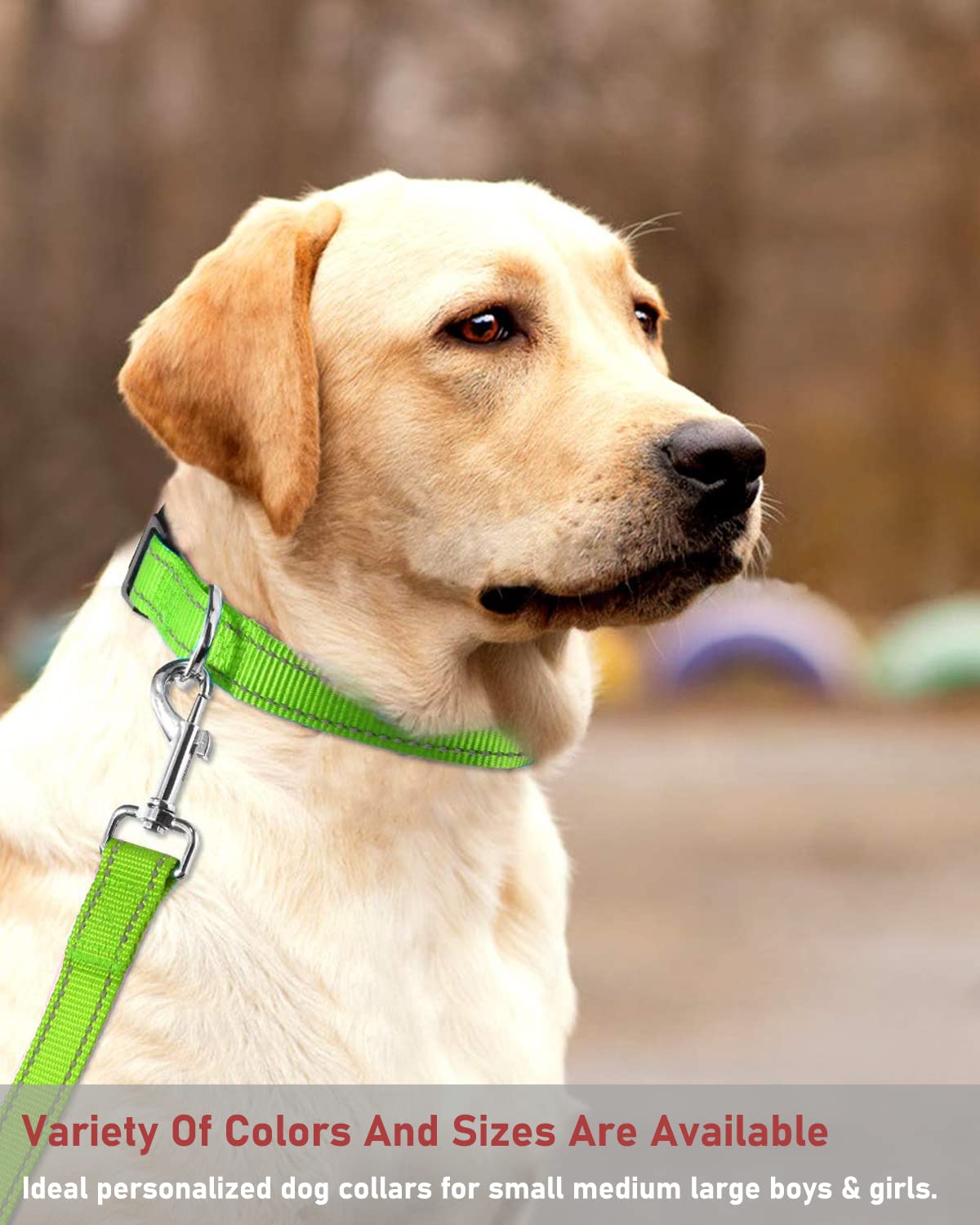 Reflective Dog Collar With Buckle Adjustable Safety Nylon Collars For Small Medium Large Dogs, Grass Green Xs