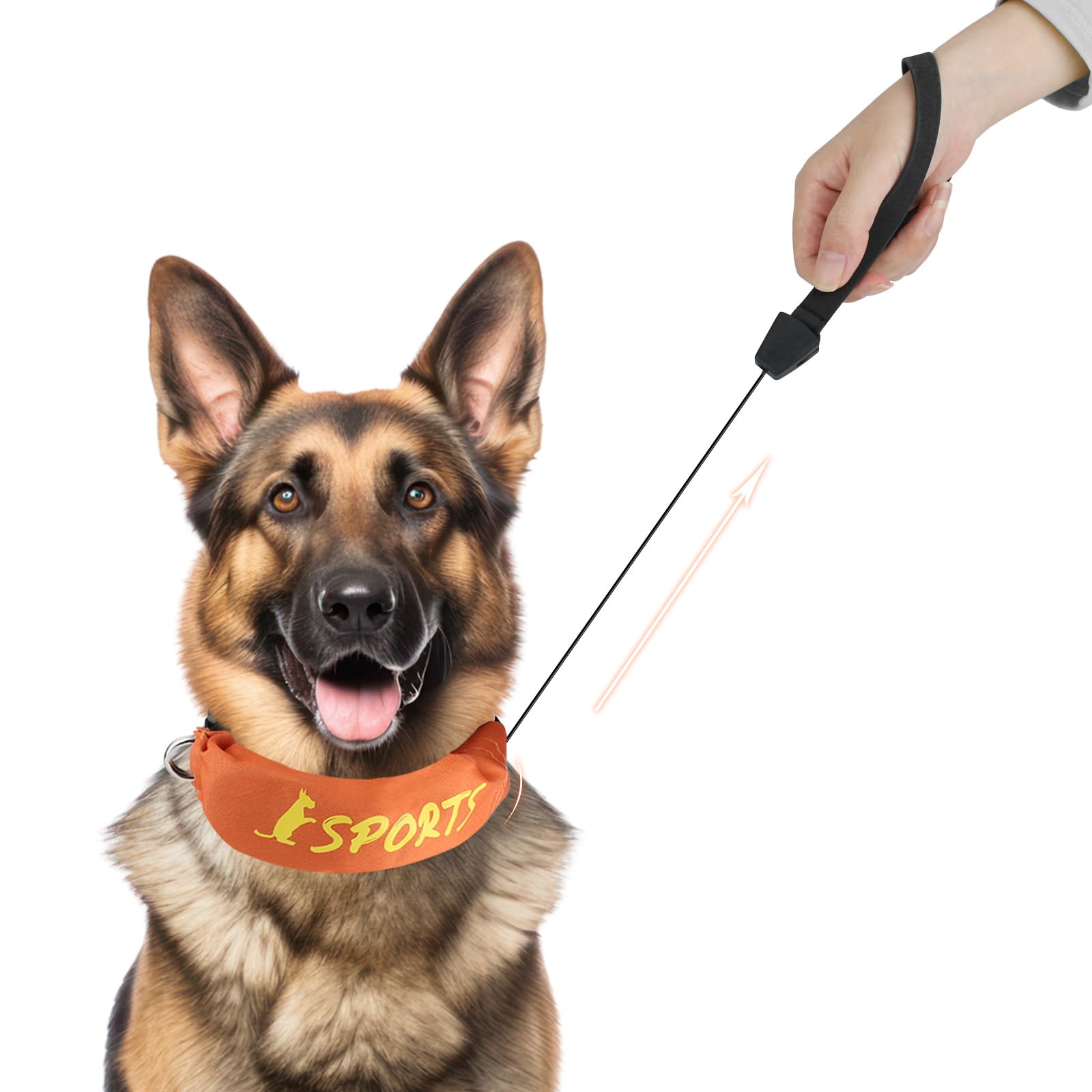 Billionchains 2 In 1 Dog Collar With Retractable Dogs Leash, Adjustable Dog Collar For Medium To Large Dogs