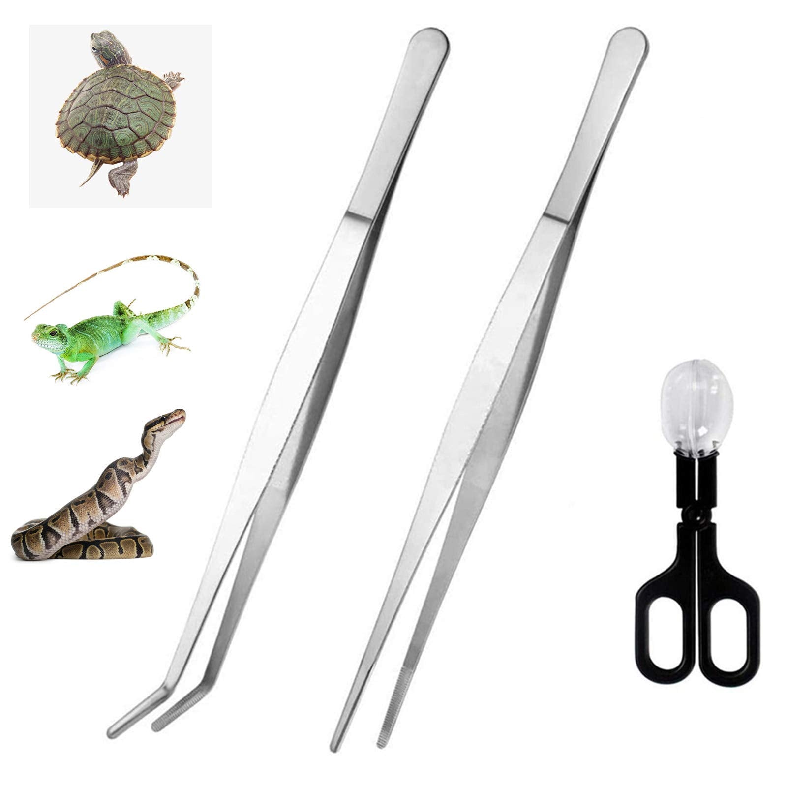 Alfyng 15 Inch Reptile Feeding Tongs Long Tweezers Cricket Clamp Bug Scooper, 3 Pcs Stainless Steel Straight And Curved Tweezers Feeder Tool For Snake Lizard Gecko Spider Bearded Dragon