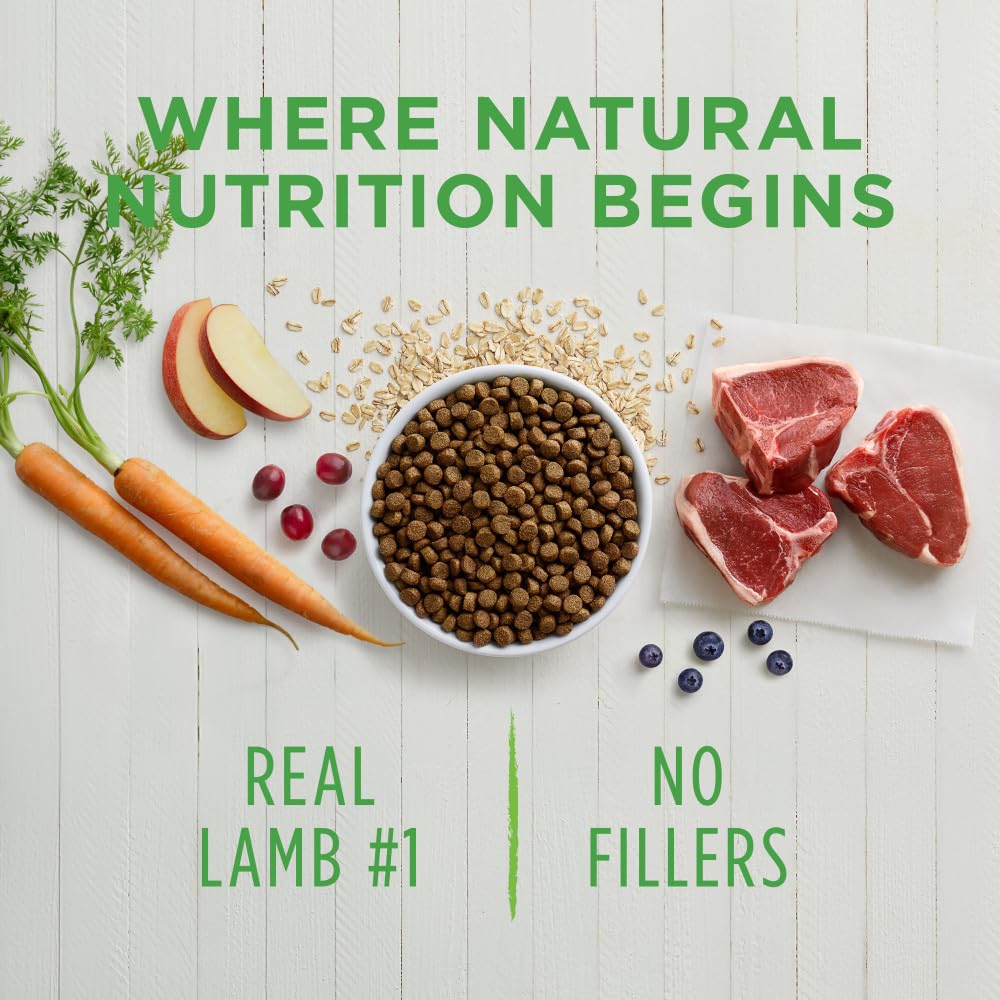 Be Natural Lamb & Oatmeal Dry Dog Food, 4.5 lb. Bag