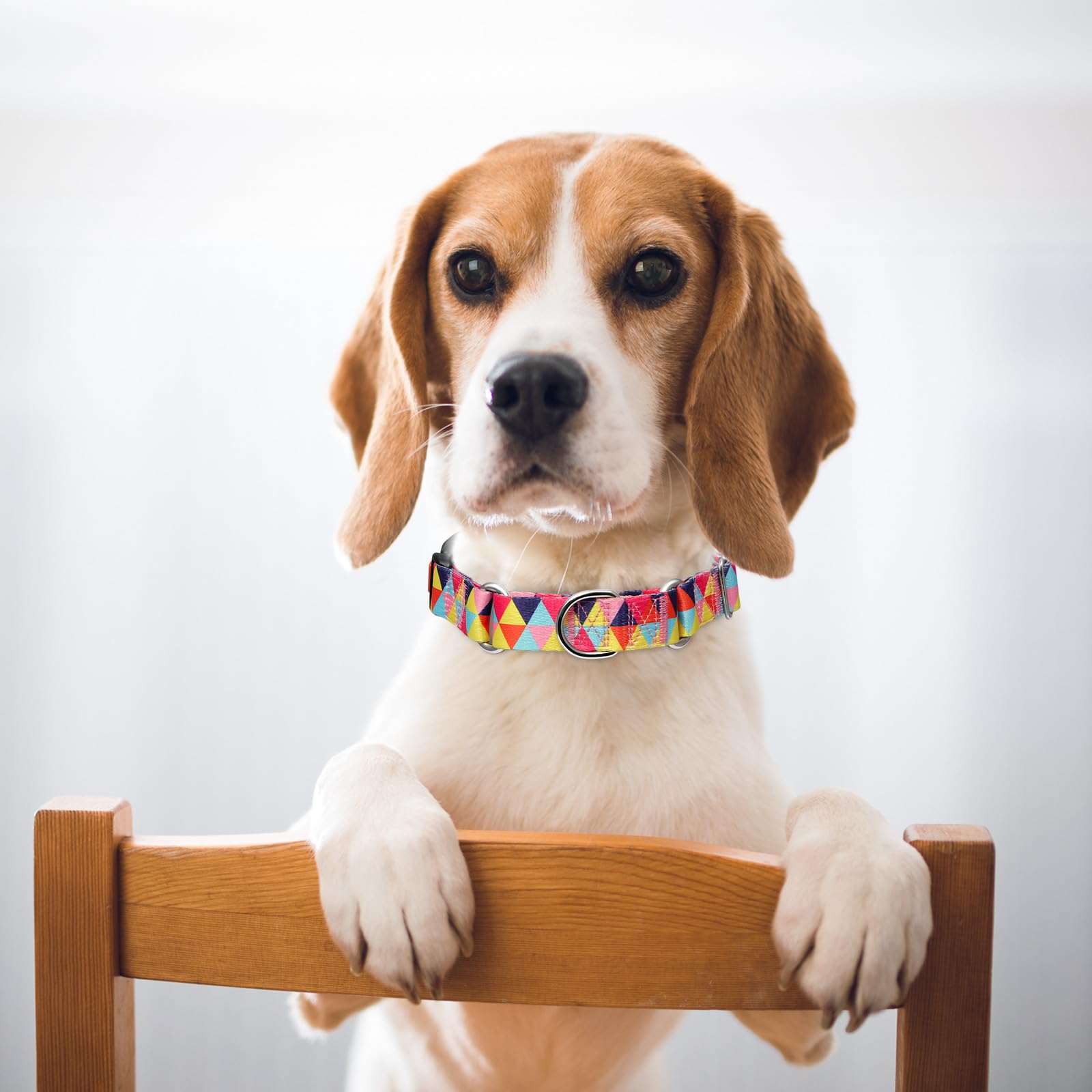 Martingale Collar For Dogs, Colorful Triangle Design Dog Collar For Small Medium Large Dogs, Adjustable Heavy Duty Dog Collars F