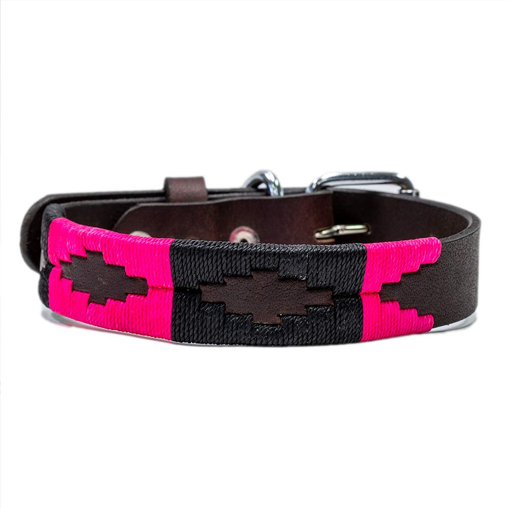 Gaucho Goods Leather Dog Collar - Antilles (Xl)