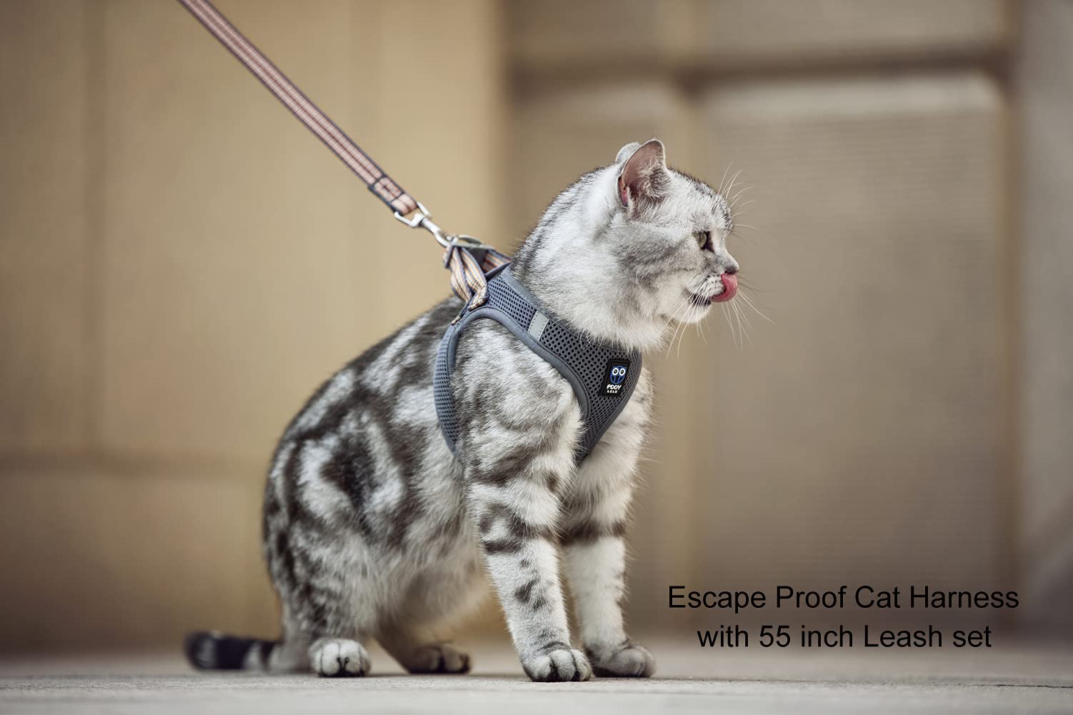 Balaynor Cat Harness And Leash For Walking Escape Proof, Adjustable Soft Grey Xs Chest: 11 - 12Inch