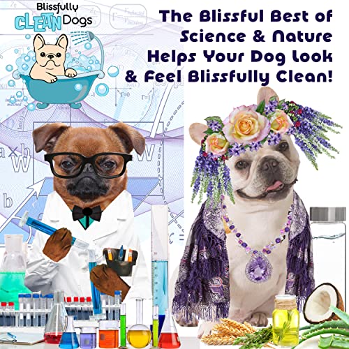 The Blissful Dog Gentle Touch Dog Shampoo, 8-Ounce