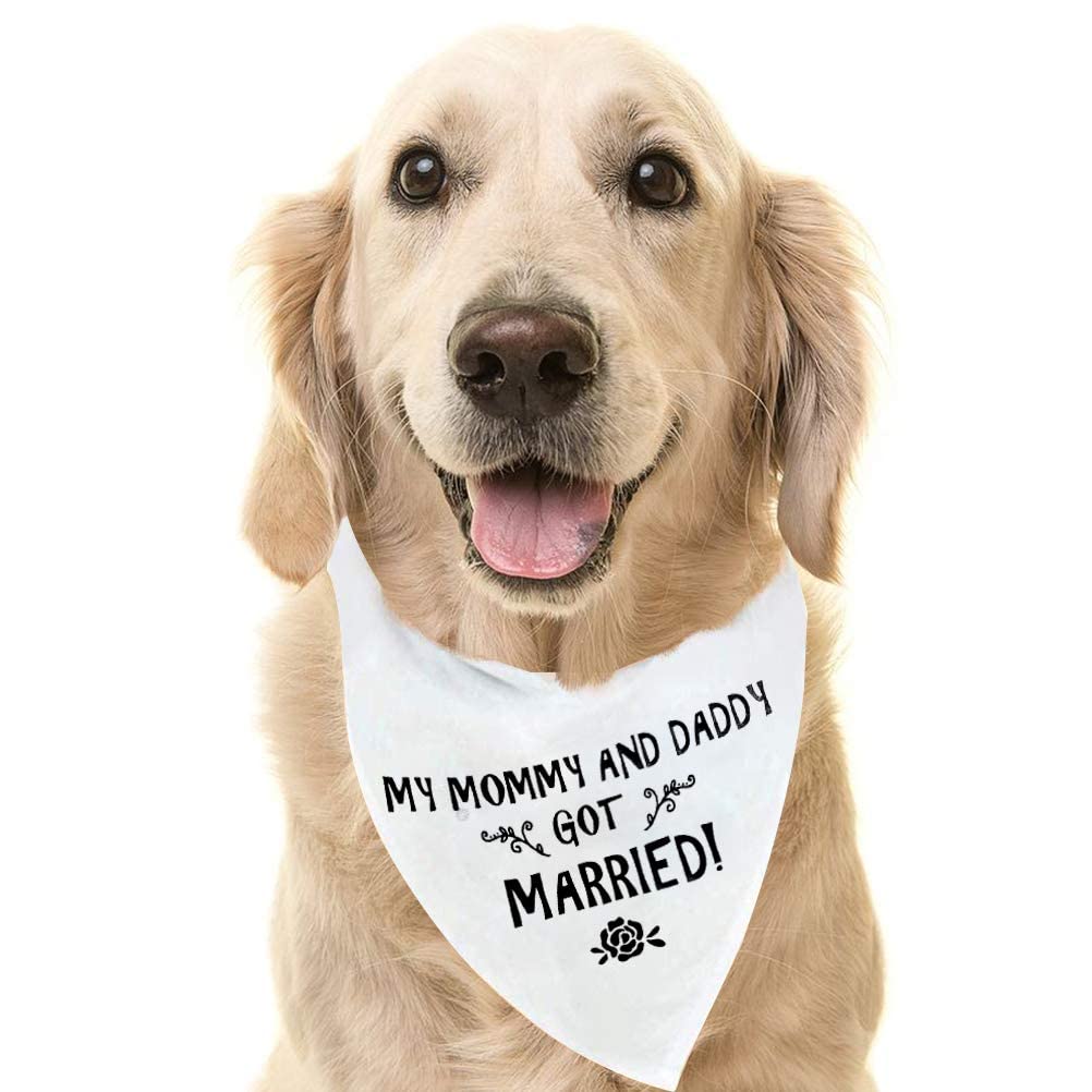 PUPTECK Engagement Gift Wedding Dog Bandana - Triangle Bibs Scarf Pet Accessories, Wedding Photo Prop for Small Medium Large Dog