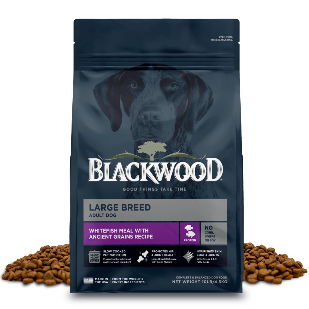 Blackwood Large Breed Dry Dog Food, Whitefish with Ancient Grains, 10 Pound Bag for Adult Dogs, Slow Cooked with Green Mussels t