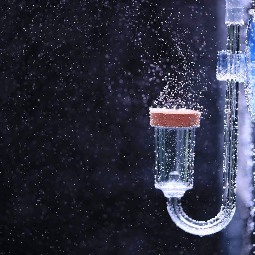 Twin Star Co2 Diffuser (Large)