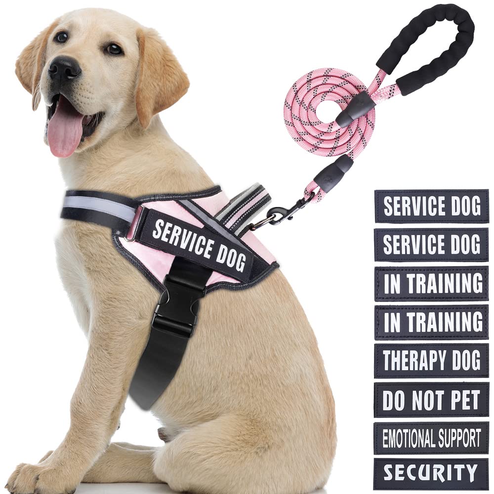 Service Dog Vest Harness And Leash Set, Animire In Training Harness With 8 Dog Patches, Reflective Leash With Soft Padded Handle For Small, Medium, Large, And Extra-Large Dogs(Pink,L)
